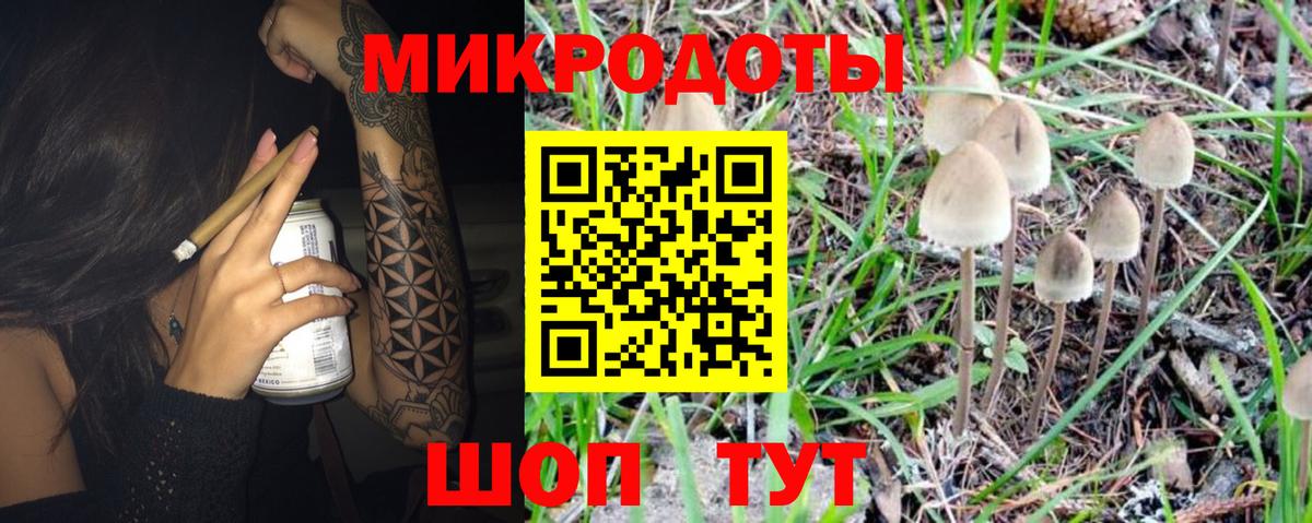 Псилоцибиновые грибы Psilocybe  Гусев  Галлюциногенные грибы MAGIC MUSHROOMS 