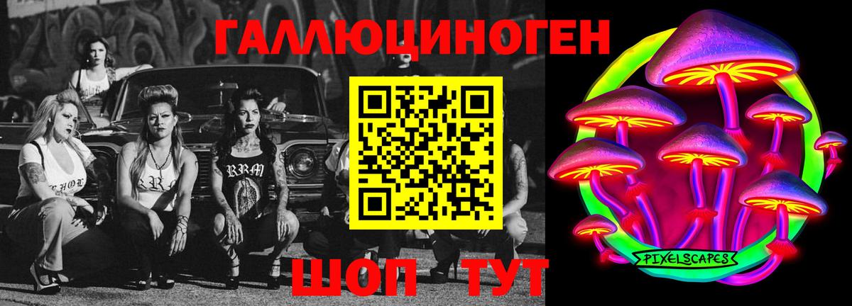 Псилоцибиновые грибы Psilocybe Гусев