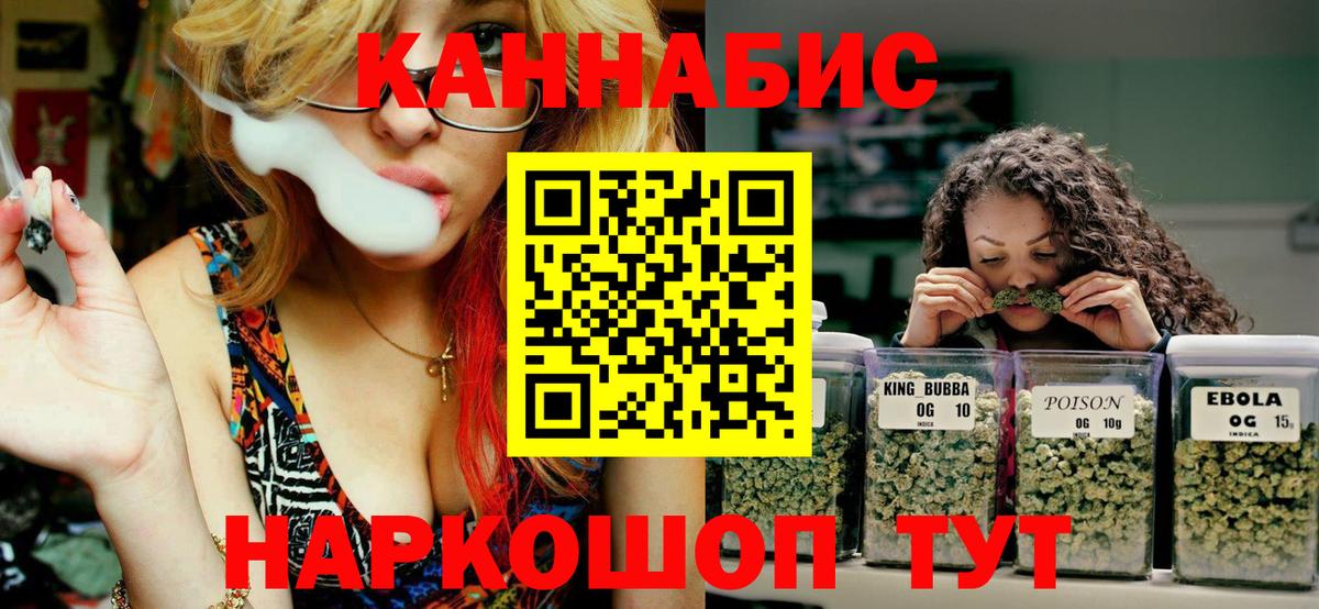 Конопля White Widow  Гусев  Шишки марихуана планчик 